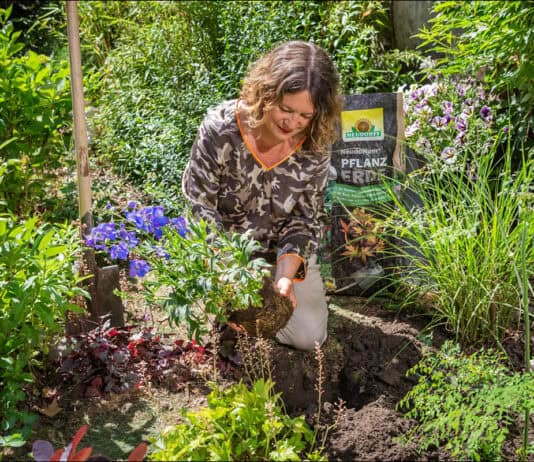 Mit Stauden das Gartenjahr genießen Mit Stauden das Gartenjahr genießen