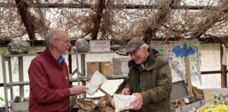 4. Glücksburger Saatgutbörse im artefact Naturerlebnisraum 4. Glücksburger Saatgutbörse im artefact Naturerlebnisraum