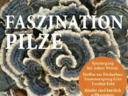 Faszinierende Pilze – eine Exkursion ins Naturschutzgebiet Twedter Feld Faszinierende Pilze – eine Exkursion ins Naturschutzgebiet Twedter Feld