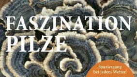 Faszinierende Pilze – eine Exkursion ins Naturschutzgebiet Twedter Feld Faszinierende Pilze – eine Exkursion ins Naturschutzgebiet Twedter Feld