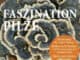 Faszinierende Pilze – eine Exkursion ins Naturschutzgebiet Twedter Feld Faszinierende Pilze – eine Exkursion ins Naturschutzgebiet Twedter Feld