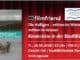 Kinderkino in der StadtBibliothek – „Die Halligen: Mitten im Winter, mitten imWasser“ Kinderkino in der StadtBibliothek – „Die Halligen: Mitten im Winter, mitten im Wasser“