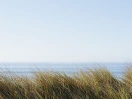 Weg vom Massentourismus: Wie die Flensburger Förde zur privaten Wohlfühloase wird Weg vom Massentourismus: Wie die Flensburger Förde zur privaten Wohlfühloase wird