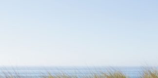 Weg vom Massentourismus: Wie die Flensburger Förde zur privaten Wohlfühloase wird Weg vom Massentourismus: Wie die Flensburger Förde zur privaten Wohlfühloase wird