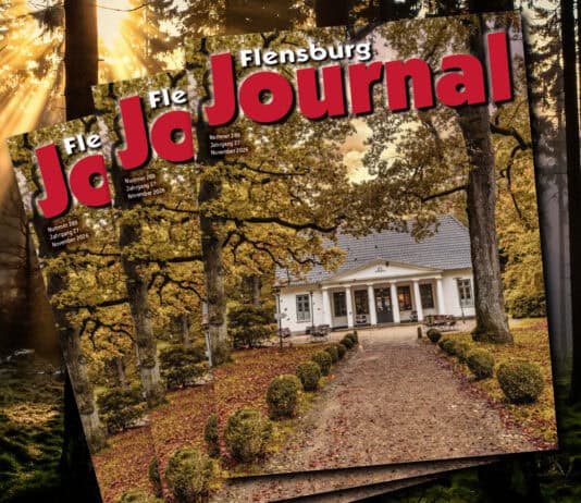 November-Ausgabe online!